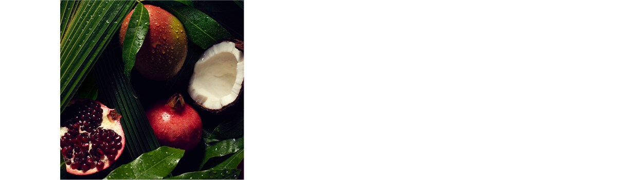 Die Inhaltsstoffe der Nutriplenish™ Kollektion: Granatapfel, Kokosnuss und Mango.